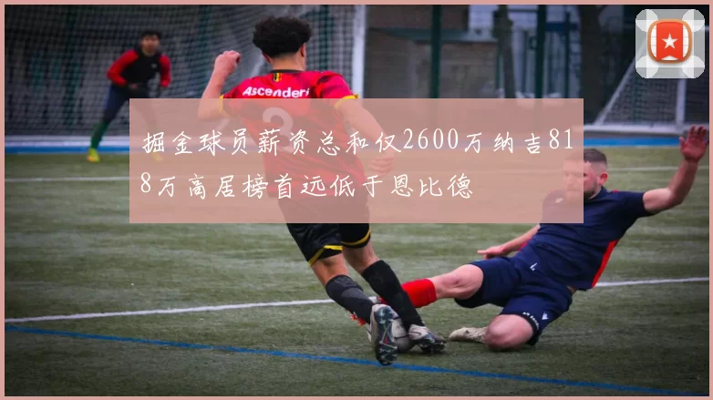掘金球员薪资总和仅2600万纳吉818万高居榜首远低于恩比德